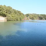 運動広場（越ヶ迫池近く）