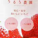 うるう農園（いちご狩り、いちご直販）