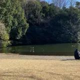 鴨池公園