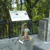 玉川上水緑道