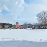小岩井農場