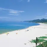 琴引浜