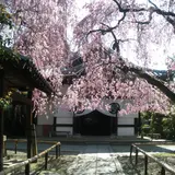 養源院