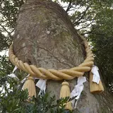 猪群山