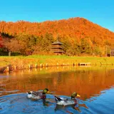まほろば古の里歴史公園