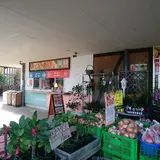 道の駅ローズマリー公園 はなまる市場内 おさかな丼屋とと丸