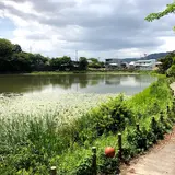 上原堤（宗旦池）