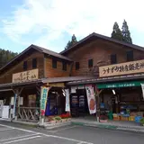 道の駅　うすずみ桜の里・ねお