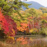 神戸市立森林植物園