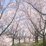 生活環境保全林みたけの森