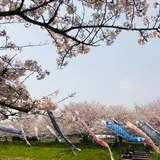 岐阜市立西郷小学校