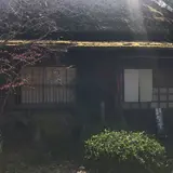 自然処