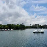 大濠公園 ボート乗り場