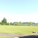 千波公園・さくら広場