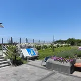 緑の道しるべ 郡家公園