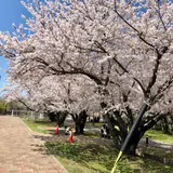 大貞公園