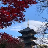 東寺（教王護国寺）