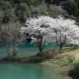 さくらの里公園