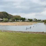 21世紀の森と広場 木もれ陽の森
