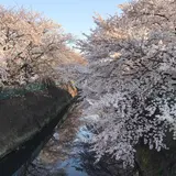 戸塚東２丁目２９−１２