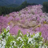 天空の庭 高見の郷