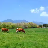 那須高原