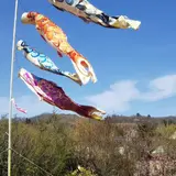 花見山公園