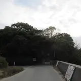 唐船山