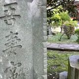 〒259-0124 神奈川県中郡二宮町山西１１１７