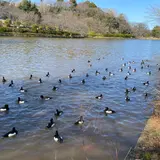 三ツ池公園