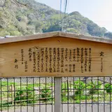 丸子元宿高札緑地