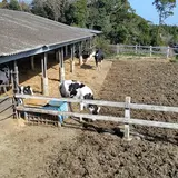 （有）高秀牧場