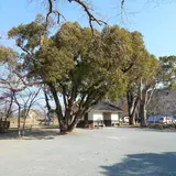 十九首水源地公園