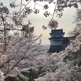 津山城跡