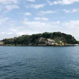猿島航路
