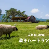 蔵王酪農センターチーズ工場