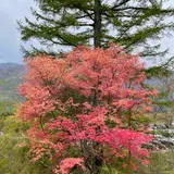 三峰神社 奥宮遥拝殿（見晴台）