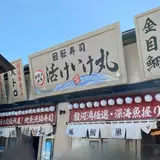 活けいけ丸