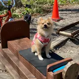 森のトロッコエコレール