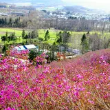 おんねゆ温泉つつじ公園