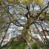 笠寺一里塚