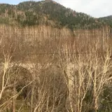 中の沢陸橋
