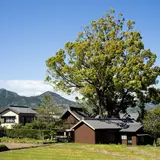 関川神社