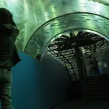 山梨県立富士湧水の里水族館 森の中の水族館。