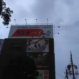 春華堂