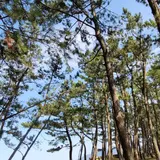 西ノ浜海水浴場