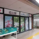 道の駅根来さくらの里