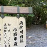 須雲川自然探勝歩道