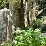 箱根旧街道杉並木
