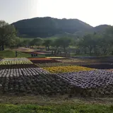 薬莱山